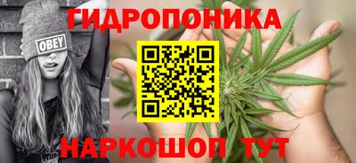 молекула духа Ставрополь