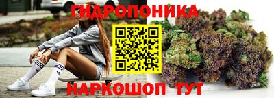 молекула духа Ставрополь