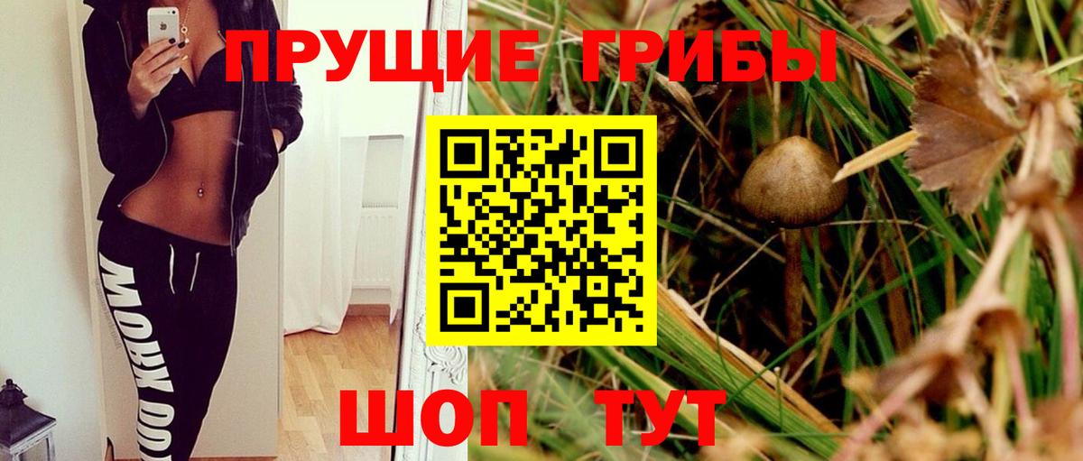 Янаул  Псилоцибиновые грибы Psilocybine cubensis  Вход с VPN 